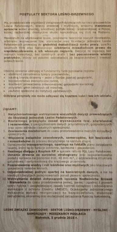 Postulaty wypalone w sklejce 