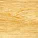 Hickory