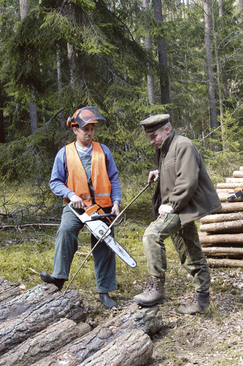 Co wolno leśniczemu?