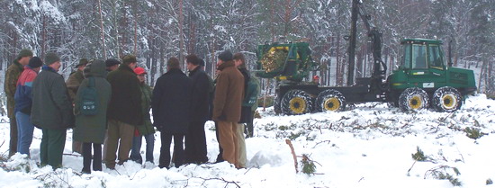 fot. Lasy Państwowe