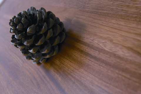 <font color=gray>Podłoga drewniana <br>Royal Floor Jatoba</font>