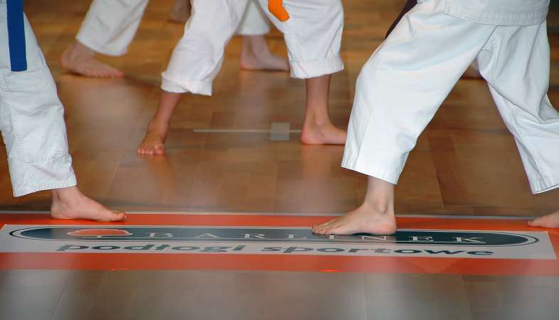 Puchar Świata w karate<br>fot. A. Poczesny