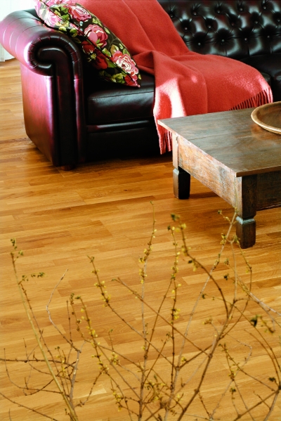 Deska barlinecka - Dąb postarzany