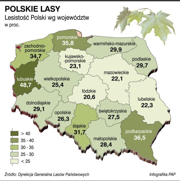 fot.: (PAP) Nauka w Polsce
