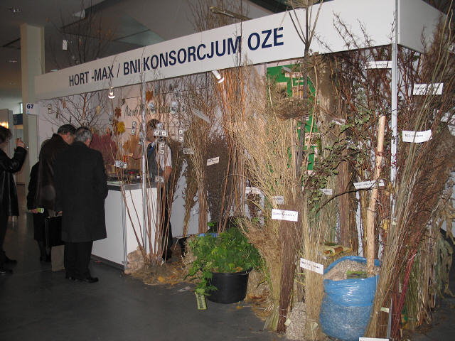 <center>Stoisko BNI - Konsorcjum OZE</center>