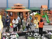 <center><font color=darkred> <b>TARGI DOM</center></font></b>