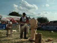 <font color=gray>BOBROWA 2007 Fot. DREWNO.PL</font>