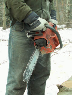 Fot. S. Mikołajczak (2)<BR>I jak tu ciąć?