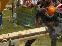 Złożona przerzynka kłód