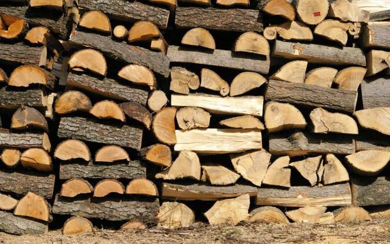 Ceny drzewnych materiałów opałowych w Niemczech