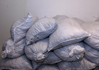 fot. Hef, eko-groszek w workach