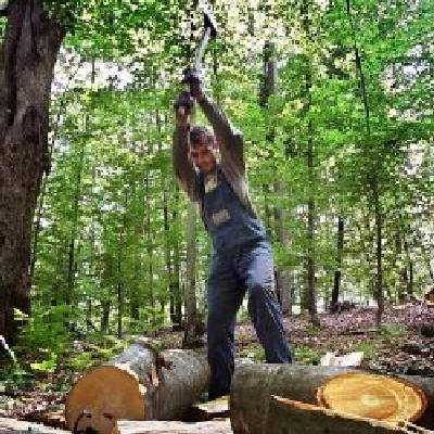  Polska kupuje drewno kradzione w Rosji, Afryce i Ameryce Południowej