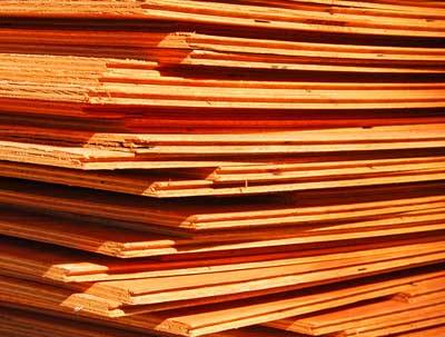 Bydgoski zakład jest jednym z największych i najstarszych zakładów produkujących sklejkę w naszym kraju.