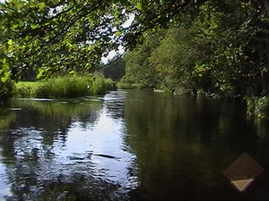 <b><center><small><font color=darkred>Dolina Rospudy <br></b>(Fot. Adam Bohdan ) <br> Greenpeace</font></small></center>