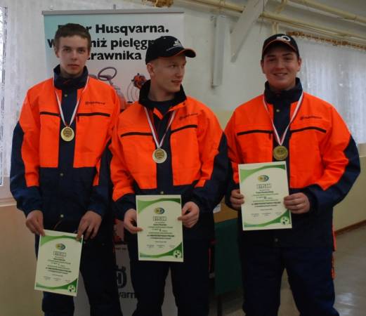 Mistrzowie Indywidualni - praca pilarką