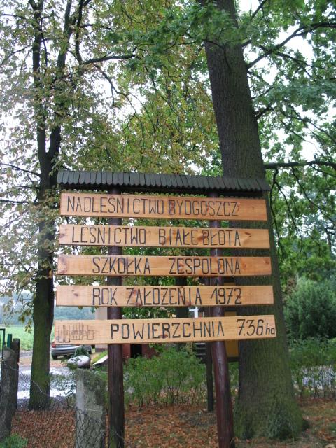 Leśnictwo Białe Błota