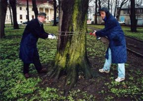 Zabieg mikroiniekcji