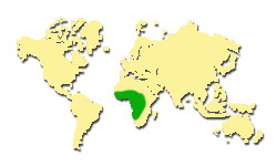 Zasięg występowania Doussie