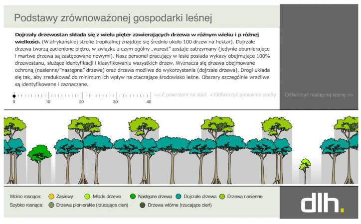 Zasady zrównoważonego leśnictwa