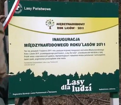 Inauguracja obchodów Międzynarodowego Roku Lasów w Polsce