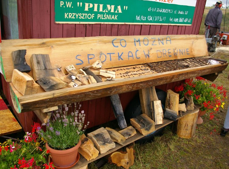 Jak różne przedmioty znajdują się w drewnie można się przekonać oglądając kolekcję p. Krzysztofa Pilśniaka, właściciela firmy Pilma
