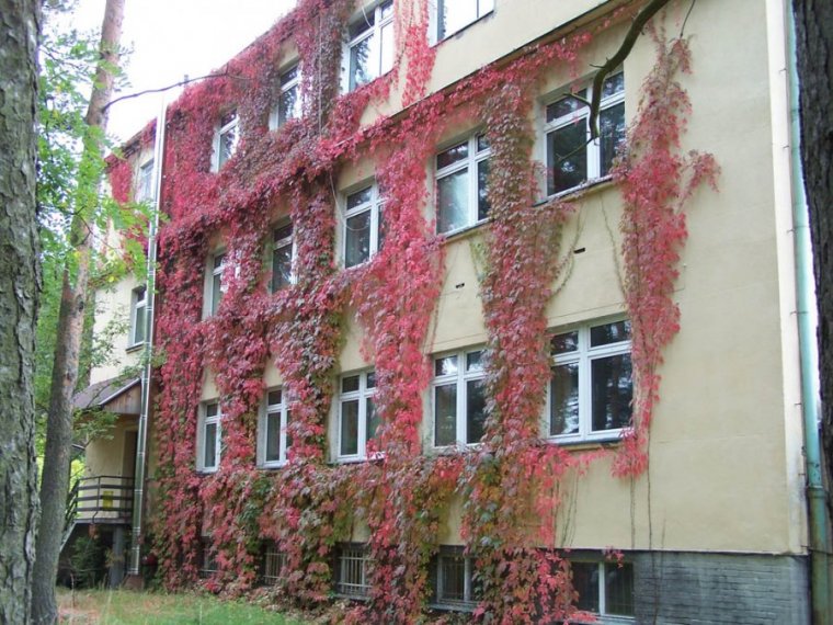 Ośrodek Badawczo-Rozwojowy Przemysłu Płyt Drewnopochodnych w Czarnej Wodzie