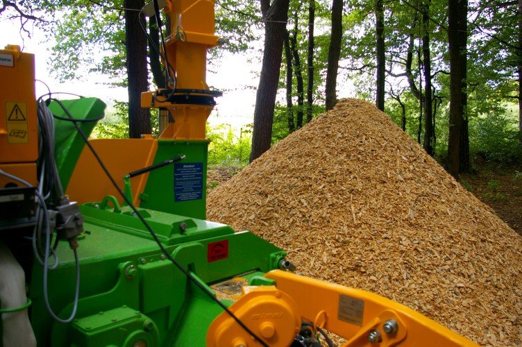 Odpady drzewne to jedno z głównych źródeł biomasy dla energetyki