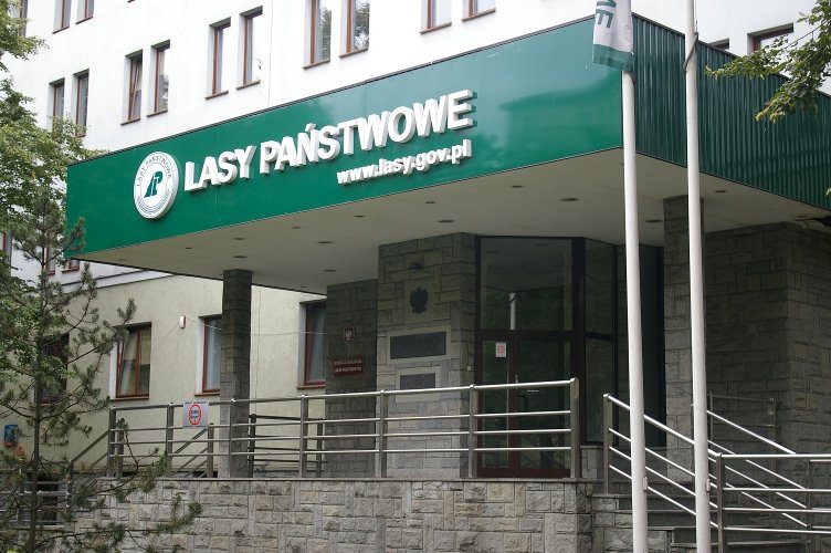 Czy Lasy Państwowe zaczną płacić podatek dochodowy?
