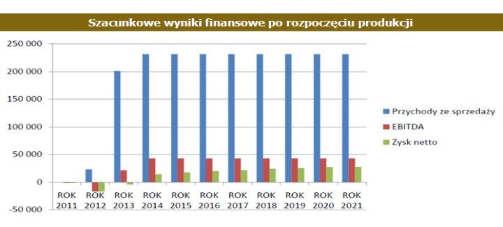 Prognoza finansowa spółki 