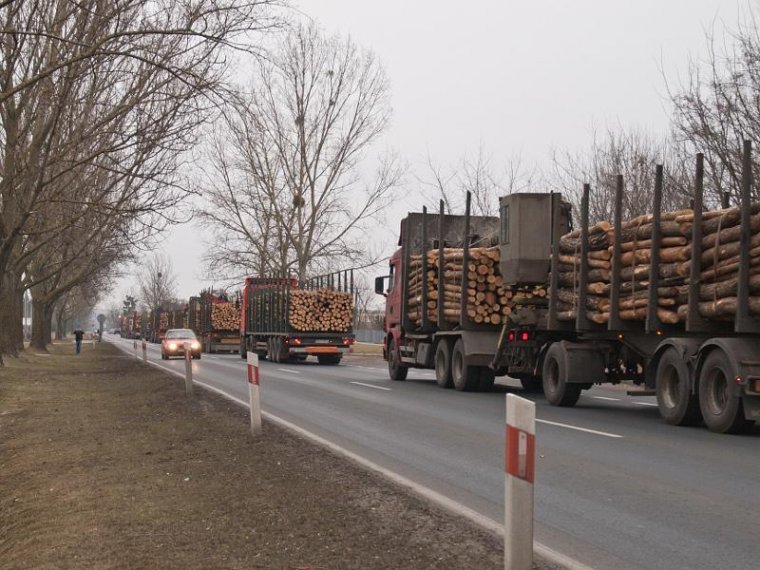 Prawidłowo załadowane ciężarówki oznaczają wzrost bezpieczeństwa przewozu drewna