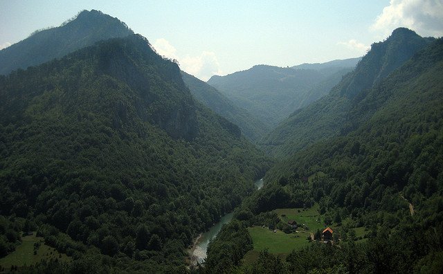 Lasy czarnogórskiego parku narodowego Durmitor