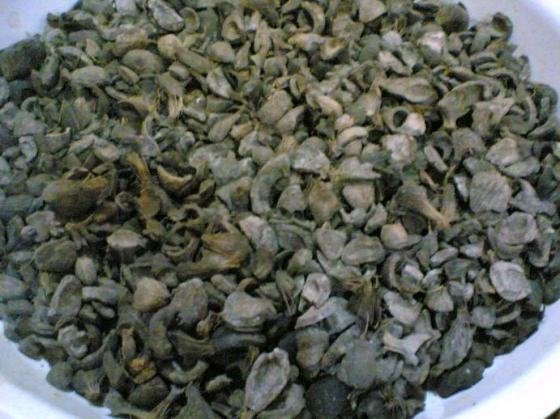 Palm Kernel Shell (PKS) to rozdrobniona pestka owocu olejowca gwinejskiego.