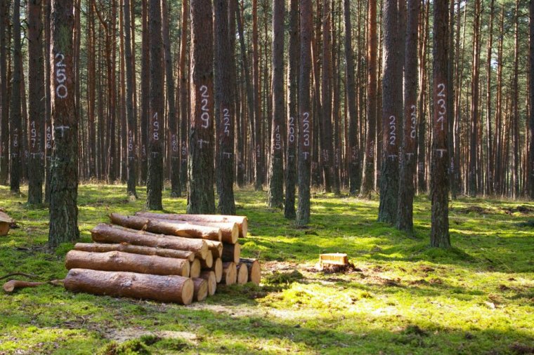 Powierzchnia doświadczalna