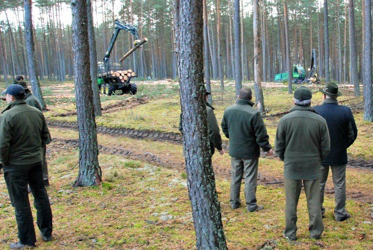 Podczas sesji terenowej uczestnicy spotkania oglądali proces pozyskania kłód
