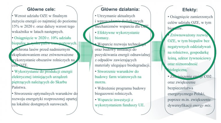 Rozwój wykorzystania odnawialnych źródeł energii, w tym  biopaliw – jeden z priorytetów polityki energetycznej Polski