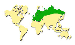 Zasięg występowania Sosny zwyczajnej