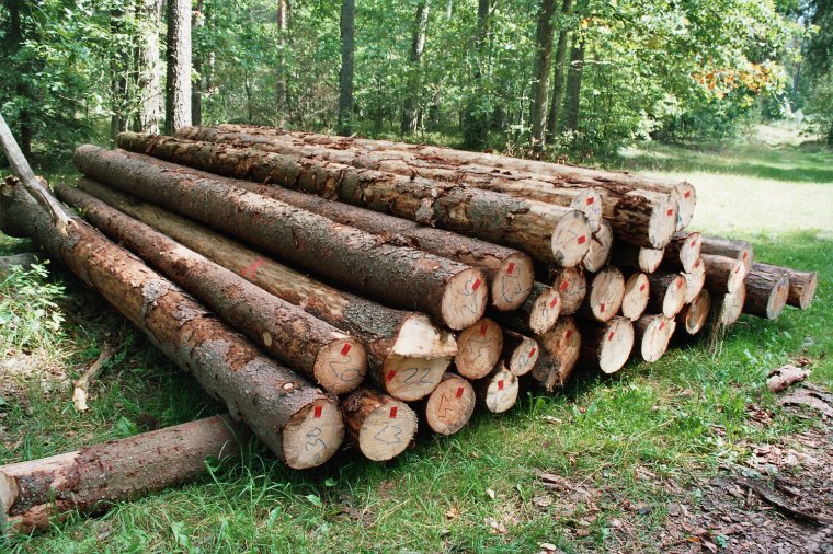 Wszystkie sztuki identyczne, ale i tak na każdej plastikowa płytka... prawie jak w aptece, prawda?