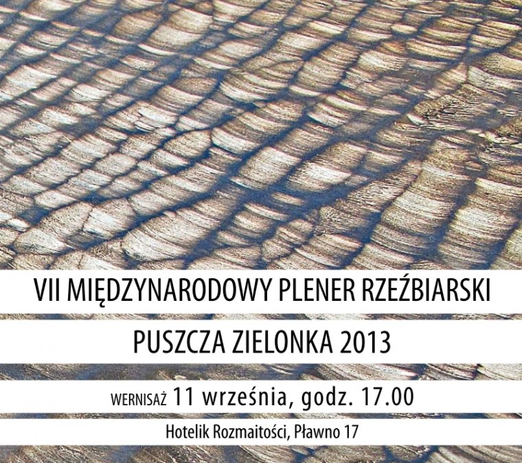 Międzynarodowy Plener Rzeźbiarski Puszcza Zielonka 2013