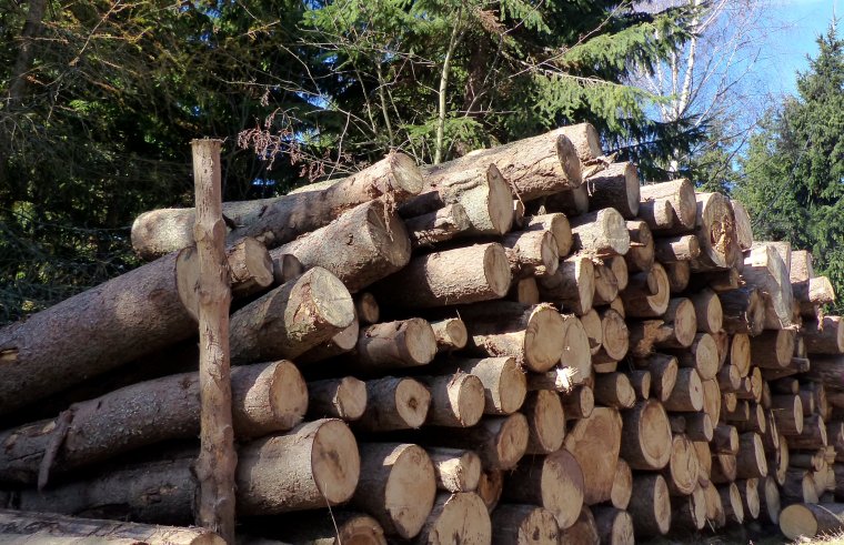 Surowiec drzewny: Więcej znaczy mniej