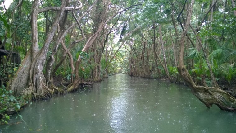 Indian River
