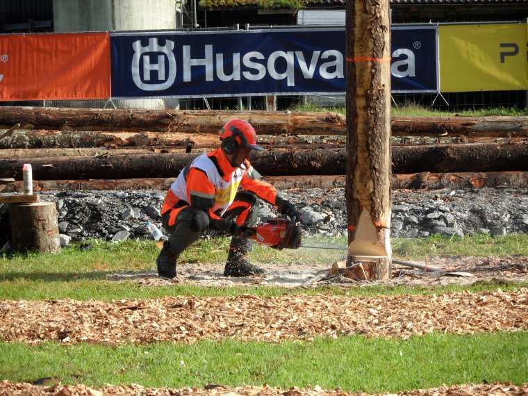 World Logging Championships 2014