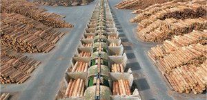 KPPD podpisało umowę na dostawę linii sortowania kłód