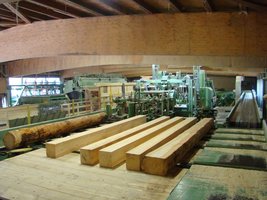 Linia technologiczna EWD wykorzystująca pilarki tarczowe