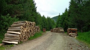 Leśny Kompleks Promocyjny „Lasy Bieszczadzkie” został powiększony