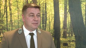 A. Wasiak o rynku surowca drzewnego