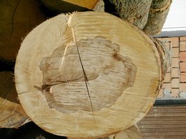 Fałszywa twardziel - Wady drewna