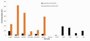 Największy "złodziej lasów" Amazonii aresztowany