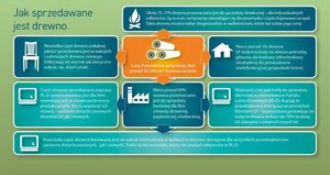 Rozmowy o systemie sprzedaży drewna w Ministerstwie Środowiska