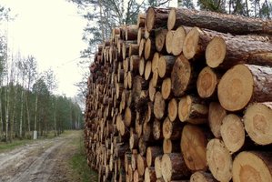 Zbliżają się aukcje systemowe na II półrocze 2015r.