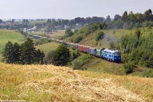 PKP CARGO partnerem trzech dużych graczy przemysłu drzewnego